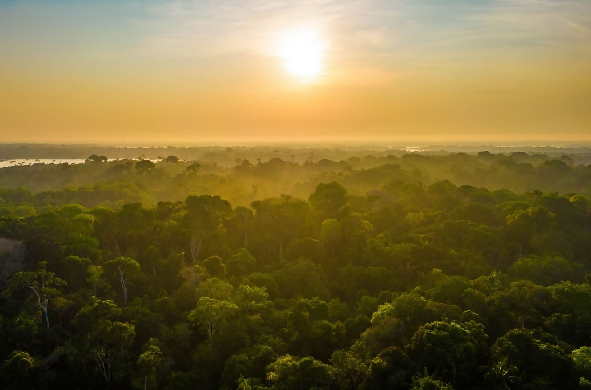 Drones com IA aceleram mapeamento da Amazônia