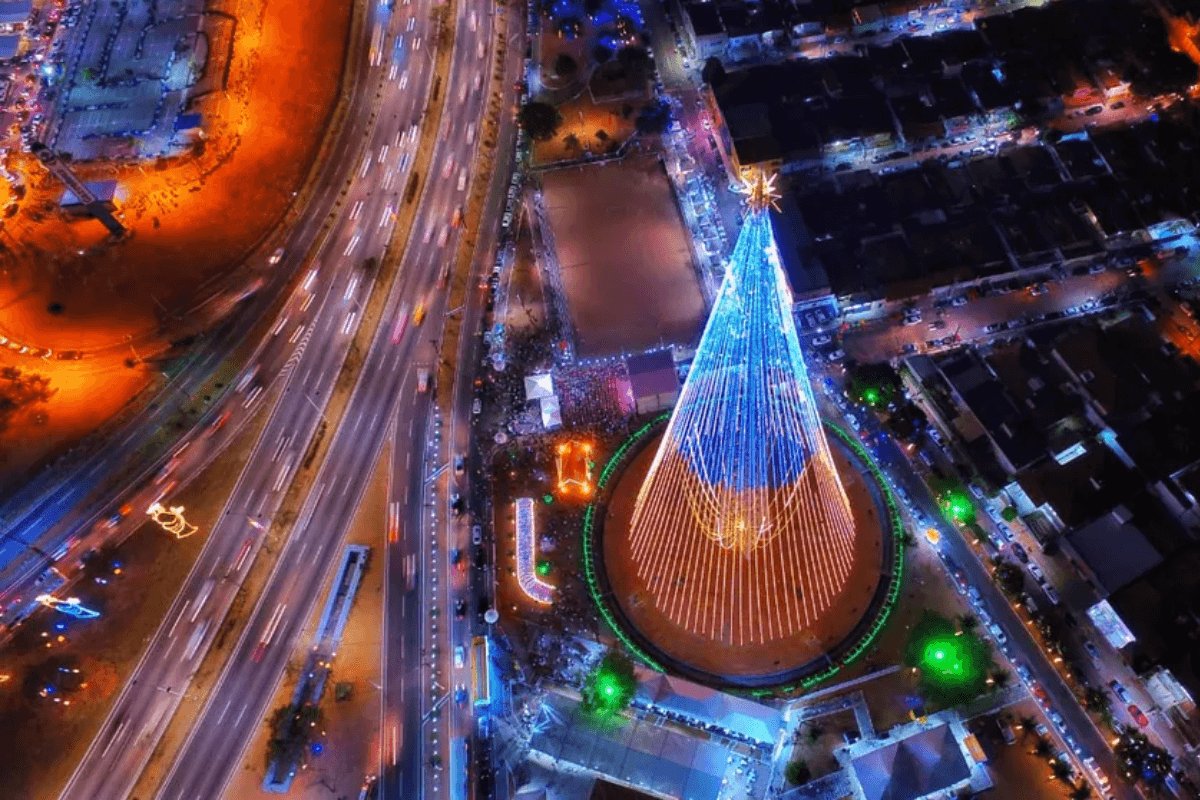 Praça da Árvore de Mirassol vai ganhar um novo projeto