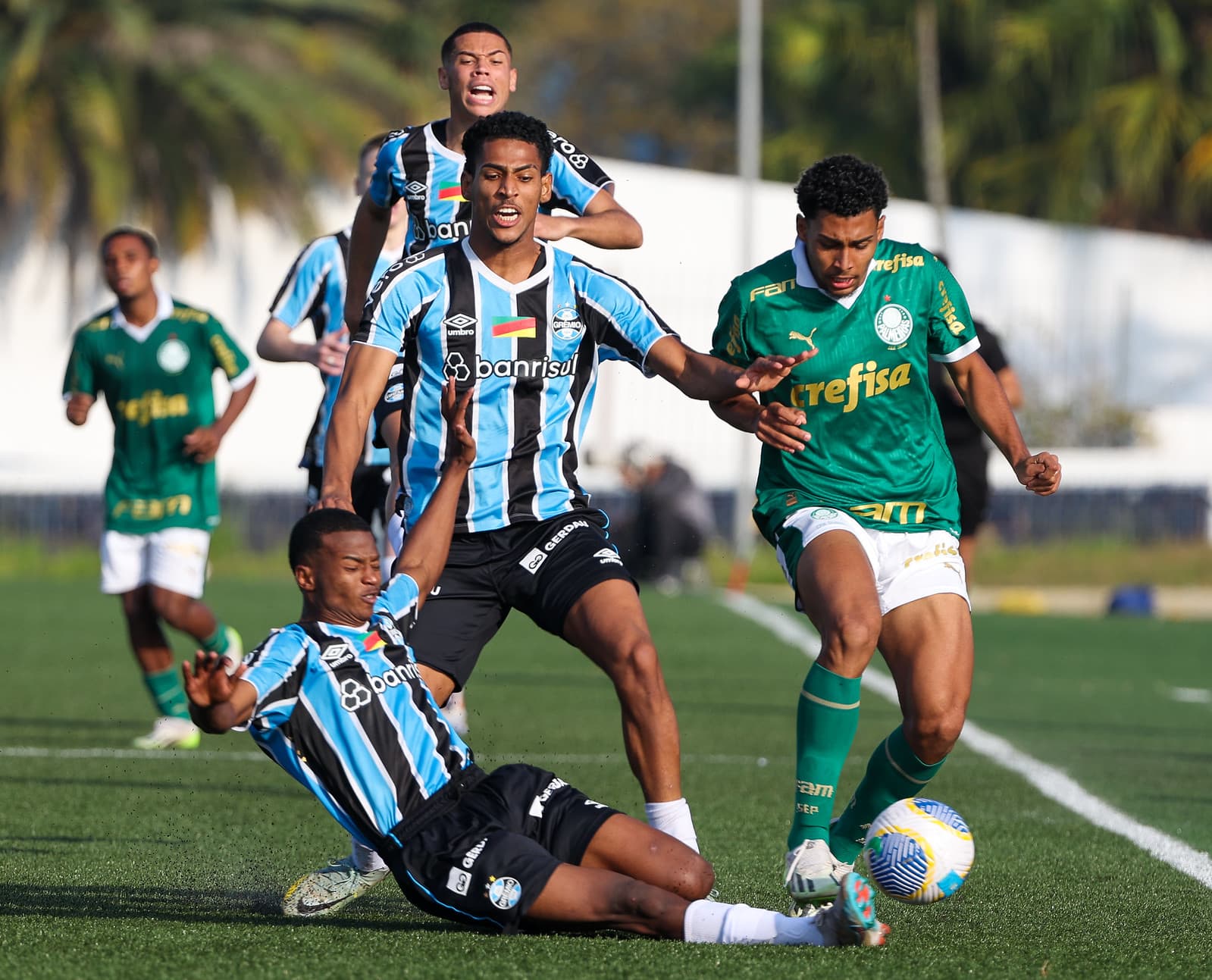 Grêmio x Palmeiras jogam hoje pelo Brasileirão Sub-20: onde assistir?