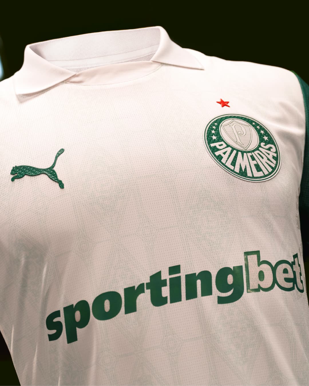 Veja fotos das novas camisas do Palmeiras para a temporada de 2025