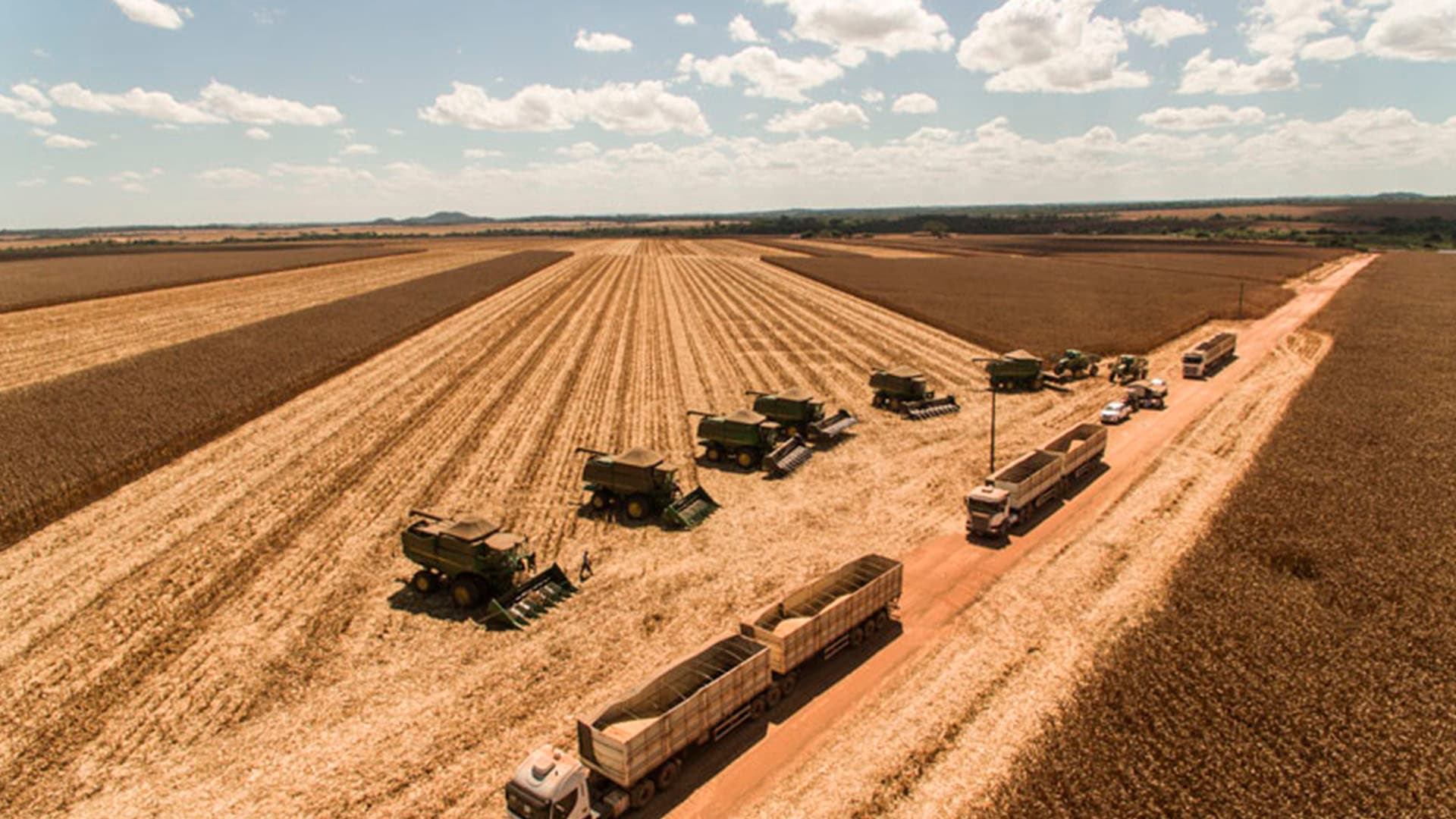 Bom Futuro, de Eraí Maggi, adquire duas fazendas da Proterra